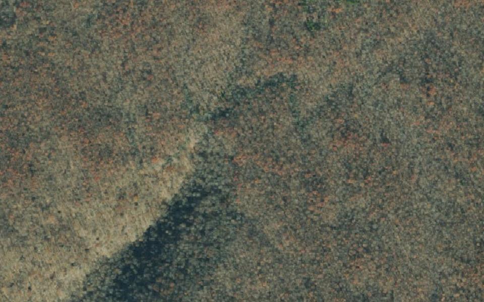 Cowan motocross track seen from above