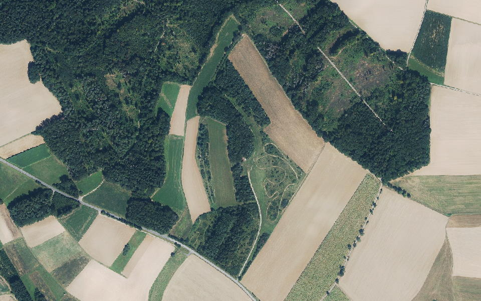 Hecke seen from above