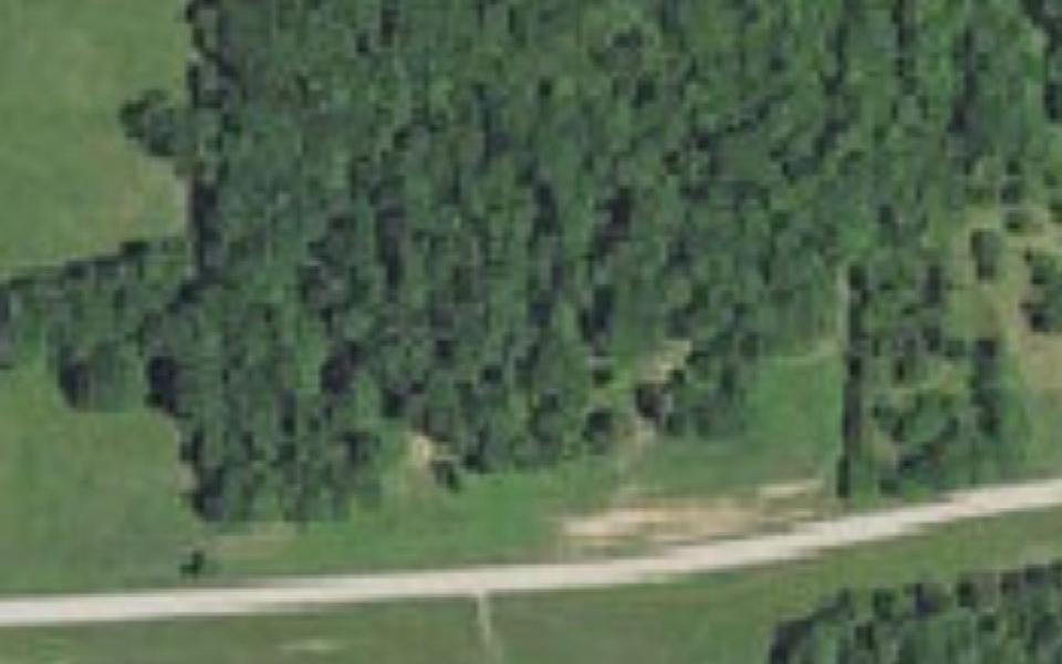 Timber Racetrack vu du ciel
