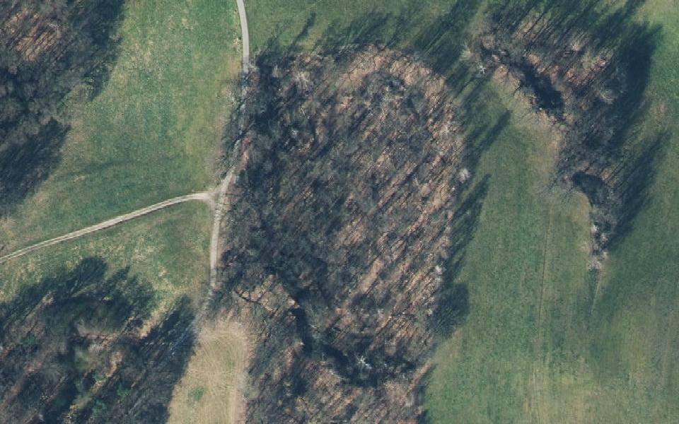 Arnsdorf motocross track seen from above